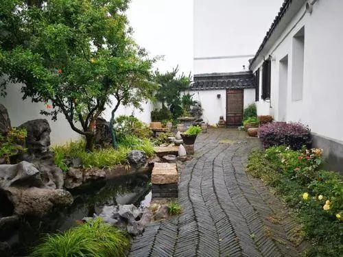 今日早报 | 江阴人家的庭院真美啊！（多图）