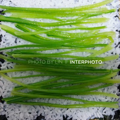春游必備花朵壽司（附雞蛋花做法）