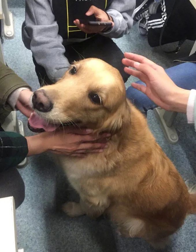 「轻松阅读」口哨烹饪恋爱种地…这些大学课程火了