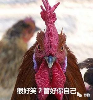 如果给古人发哈哈哈，他会让你多喝热水