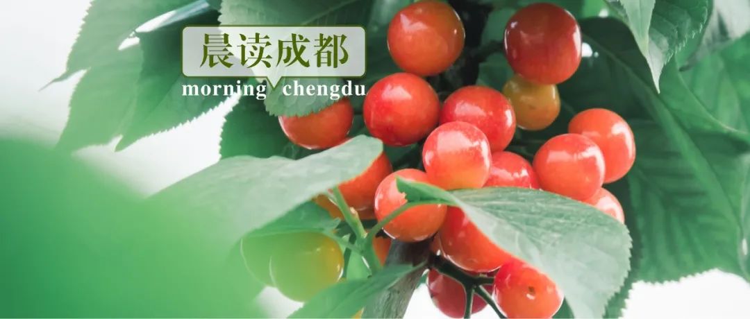 晨读成都｜最高奖励100万元！