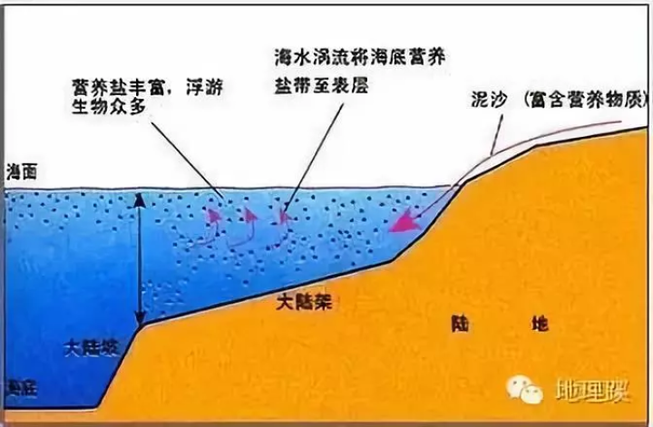 跟著杭州地理老師回憶中學地理:洋流和世界漁場