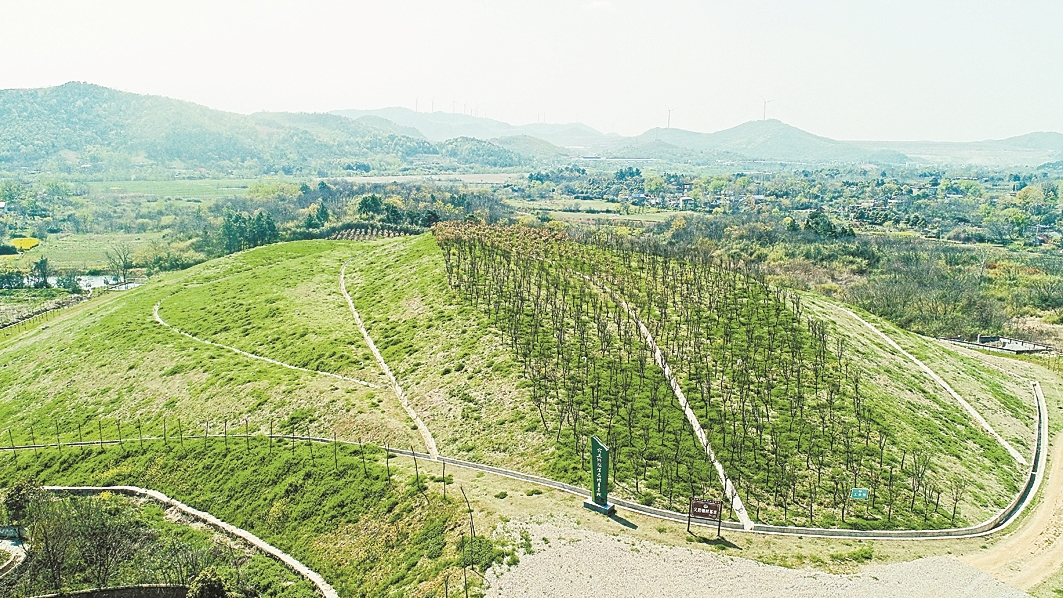 马鞍山市雨山区：百年矿区“浴火重生”融合共建“生态样本”