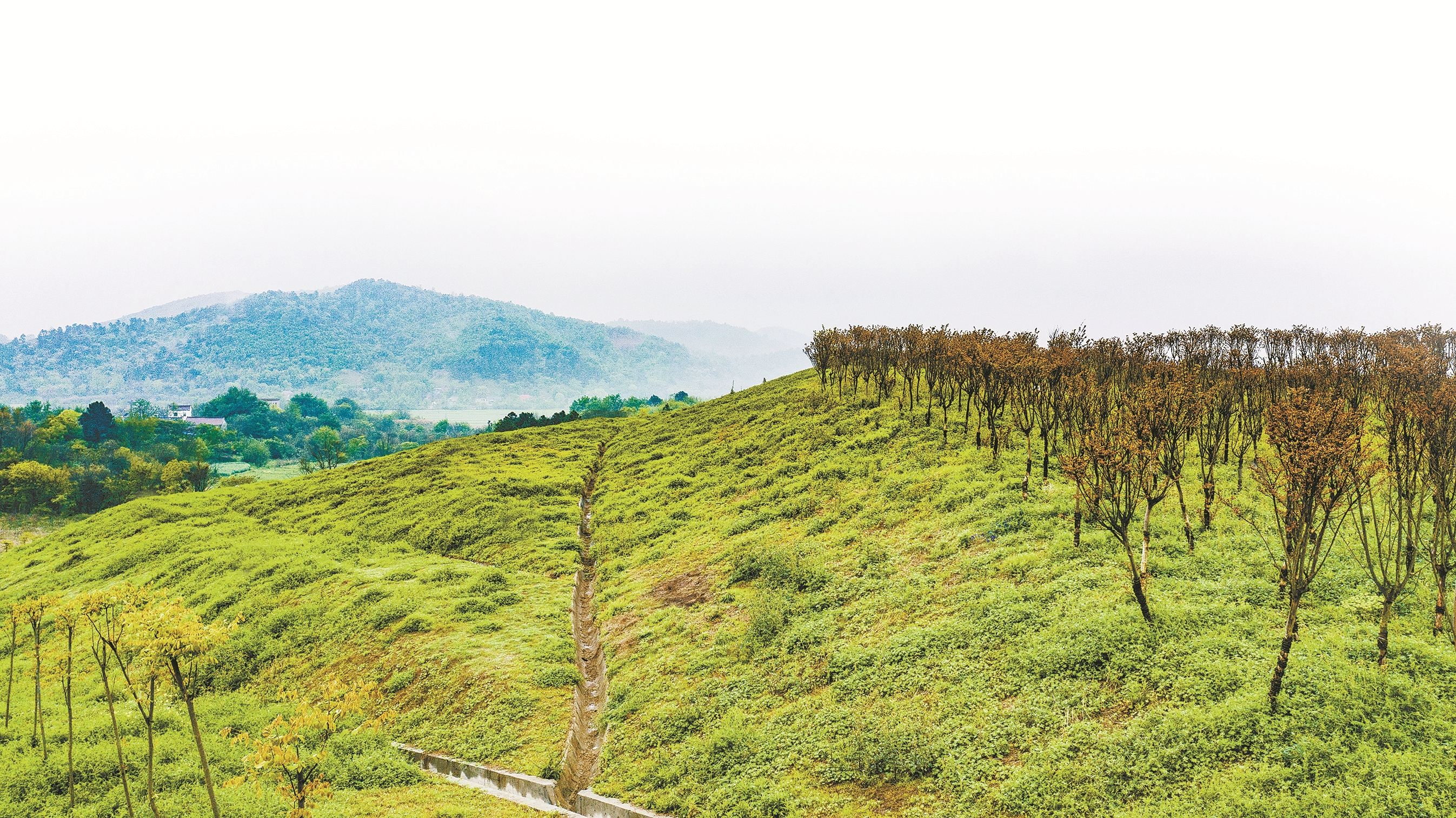 马鞍山市雨山区：百年矿区“浴火重生”融合共建“生态样本”