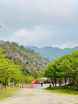 永州阳明山景点介绍（阳明山美丽景色分享）