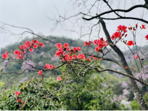 永州阳明山景点介绍（阳明山美丽景色分享）