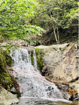 永州阳明山景点介绍（阳明山美丽景色分享）