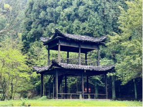 永州阳明山景点介绍（阳明山美丽景色分享）