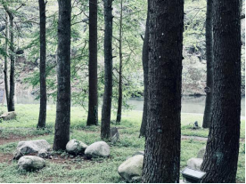 永州阳明山景点介绍（阳明山美丽景色分享）