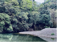 永州阳明山景点介绍（阳明山美丽景色分享）