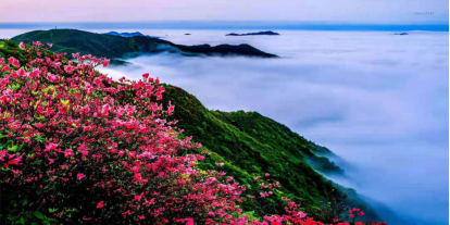 永州阳明山景点介绍（阳明山美丽景色分享）