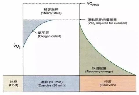 健美魔法，百年HIIT破圈史