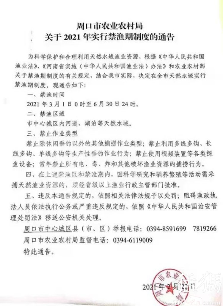 非法捕鱼触目惊心！沙颍河周口城区河段暗藏超万米“绝户网”，民间河长制止遭报复巡逻船被烧