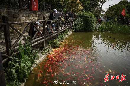 草长莺飞是什么季节的景象（草长莺飞是形容什么季节）-第1张图片-科灵网