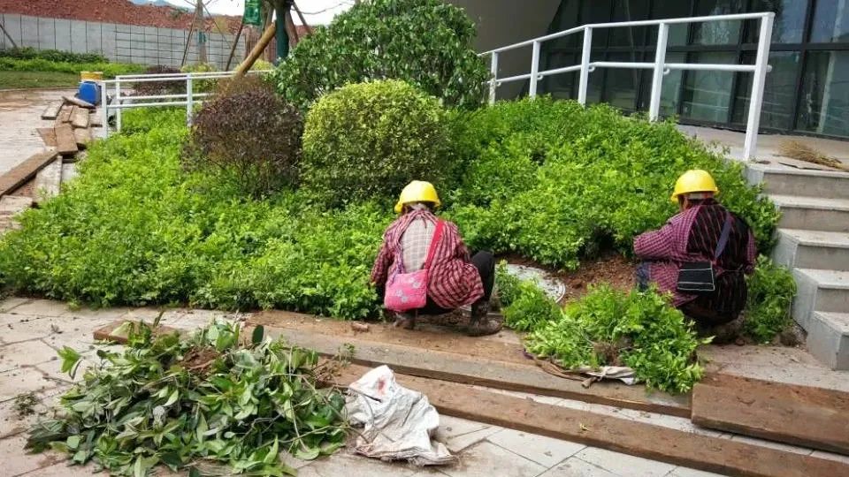 今年9月开学！成都外国语学校仁寿校区，最新进展来了！