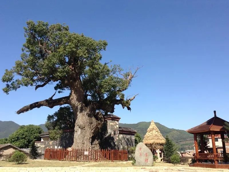 柳暗花明又一村的上一句,柳暗花明又一村的生肖