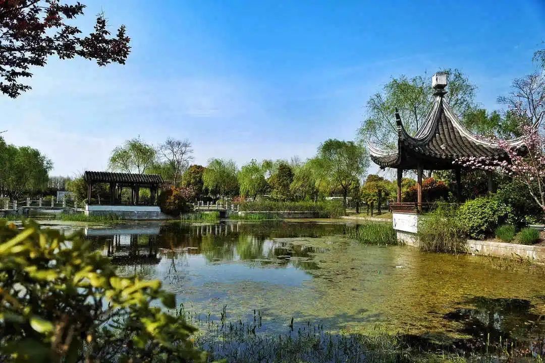 太嗲了！上海市郊藏着那么多“人间仙境”！12条休闲旅游线路你最爱哪条？