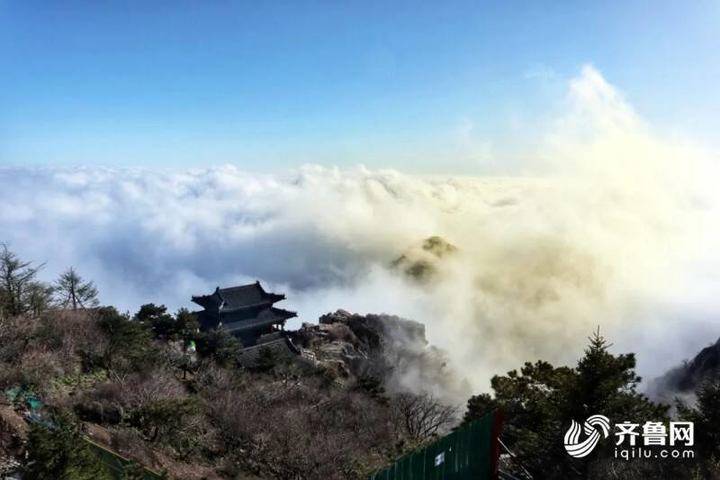 东泰山(叹为观止！雨后泰山之巅惊现四大奇观)