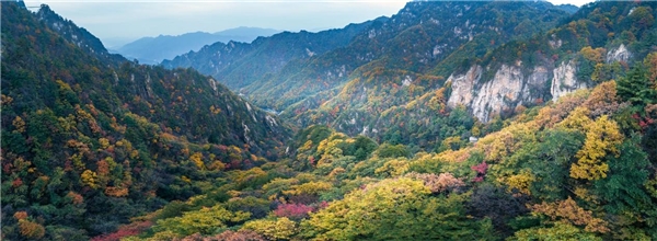 一脚可踏南北？五一南阳老界岭带你一日览华夏