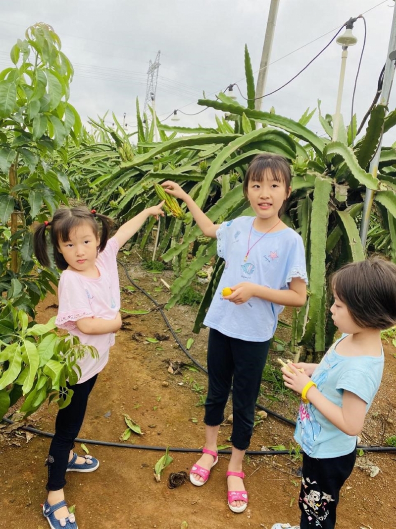 “寻味大美广东”首站：湛江肥美生蚝圈粉，团友直呼蚝想再来