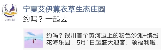 银川首个黄河边上的粉色沙滩+缤纷花海乐园，5月1日起迎客！福利享不停~