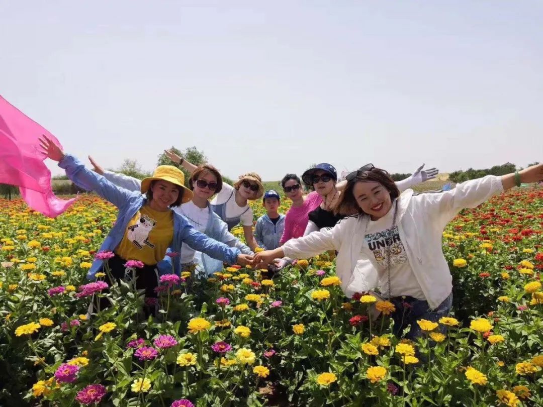 银川首个黄河边上的粉色沙滩+缤纷花海乐园，5月1日起迎客！福利享不停~