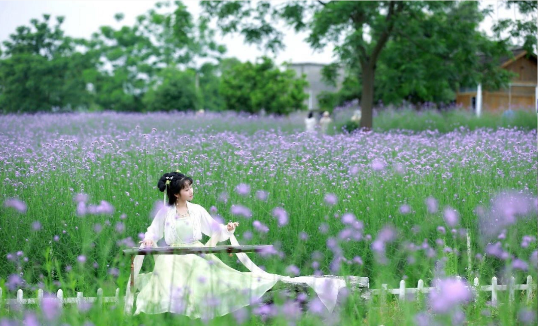 银川首个黄河边上的粉色沙滩+缤纷花海乐园，5月1日起迎客！福利享不停~