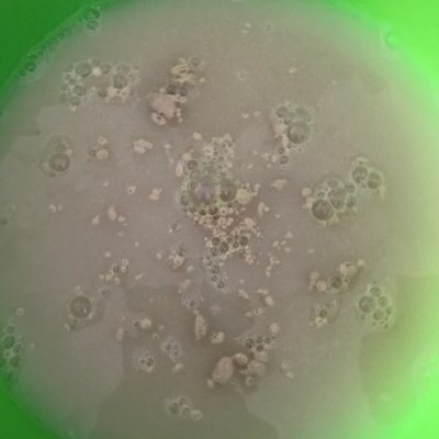 包子皮,包子皮怎么做才松軟好吃