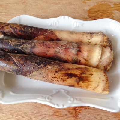 新鲜竹笋怎么烧好吃油焖春笋的制作详解