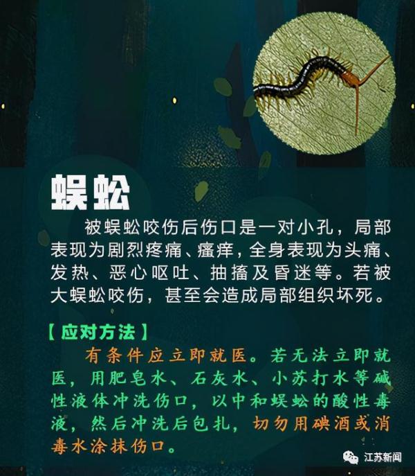 被蜈蚣咬了怎么办 被蜈蚣咬了怎么处理-百科叔叔