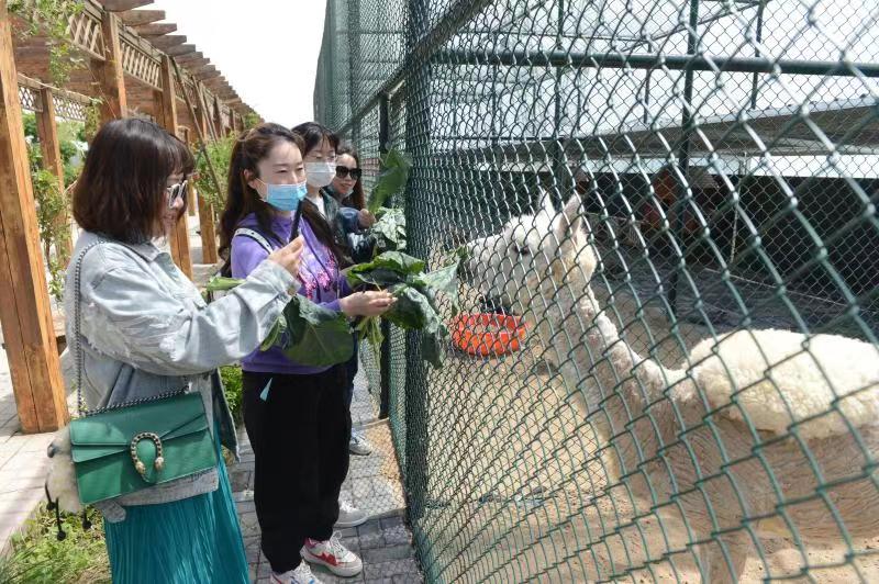 大兴区发布“五一”小长假精品旅游线路