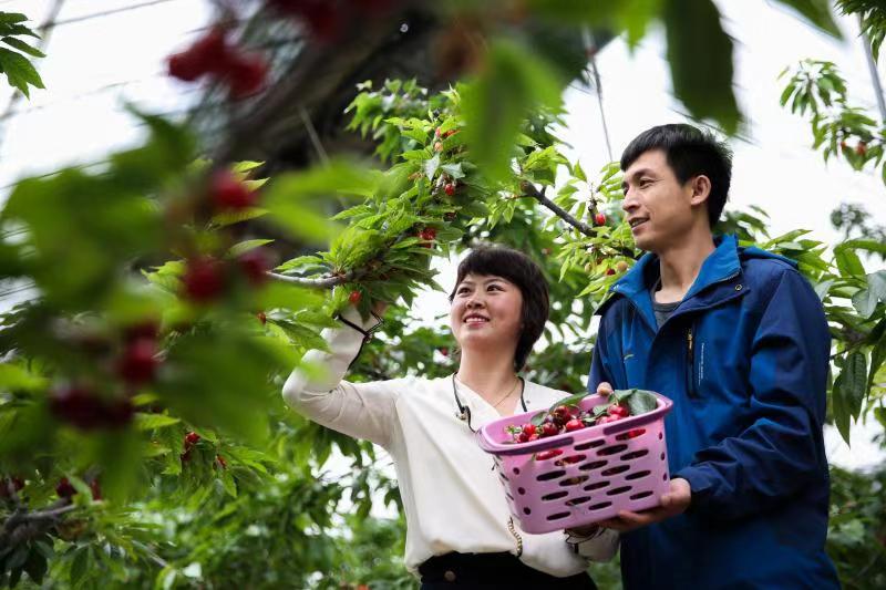 大兴区发布“五一”小长假精品旅游线路