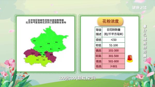 过敏性鼻炎有苦难言，专家来支招，关注预报、正确治疗，一个都不能少
