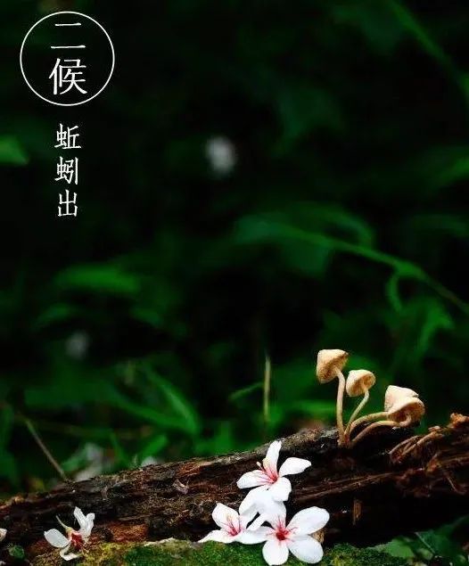 立夏节气的含义是什么(二十四节气之立夏丨连雨不知春去，一晴方觉夏来)