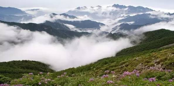 “致命”鳌太线：非法穿越屡禁不止，有人为当网红盲目挑战