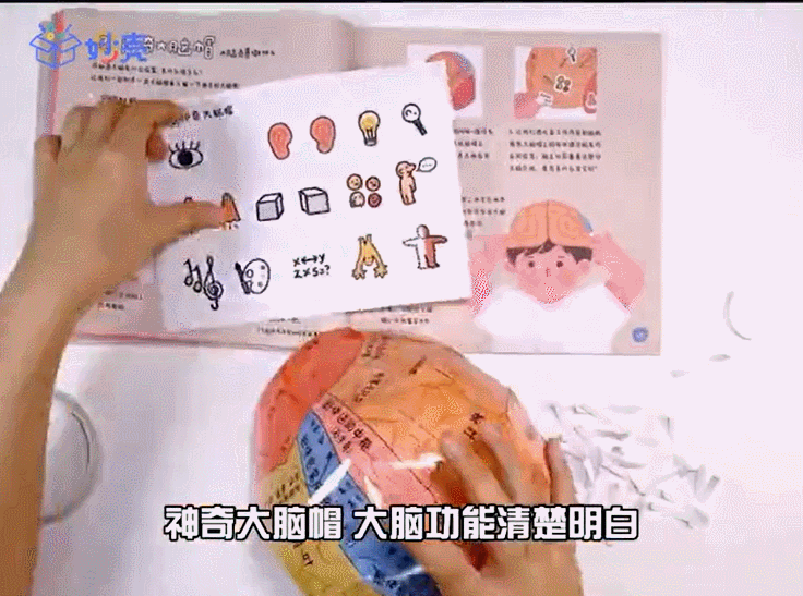 堪称玩具版“十万个为什么”，超值得送给孩子的礼物！第二件0元