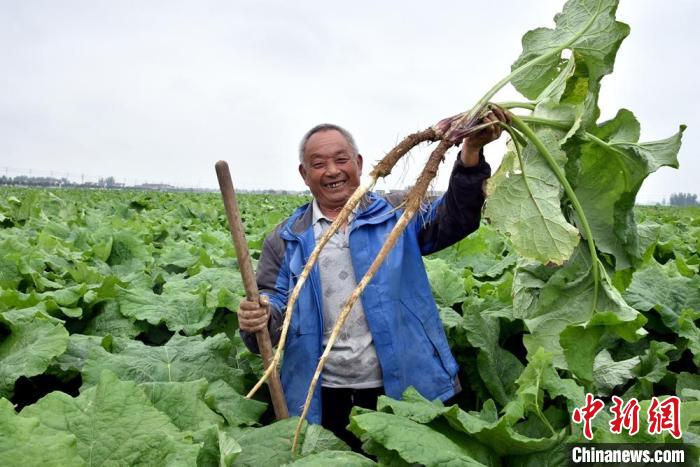 江苏省丰县现任少将图片