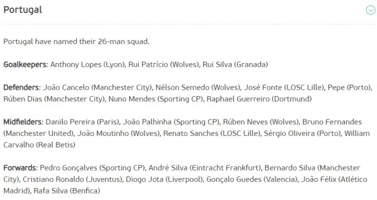 葡萄牙欧洲杯名单及号码（葡萄牙欧洲杯名单：C罗领衔，B费、B席、A席、菲利克斯在列）-趣拿体育