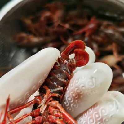 大龙虾怎么做,大龙虾怎么做好吃又简单的做法视频