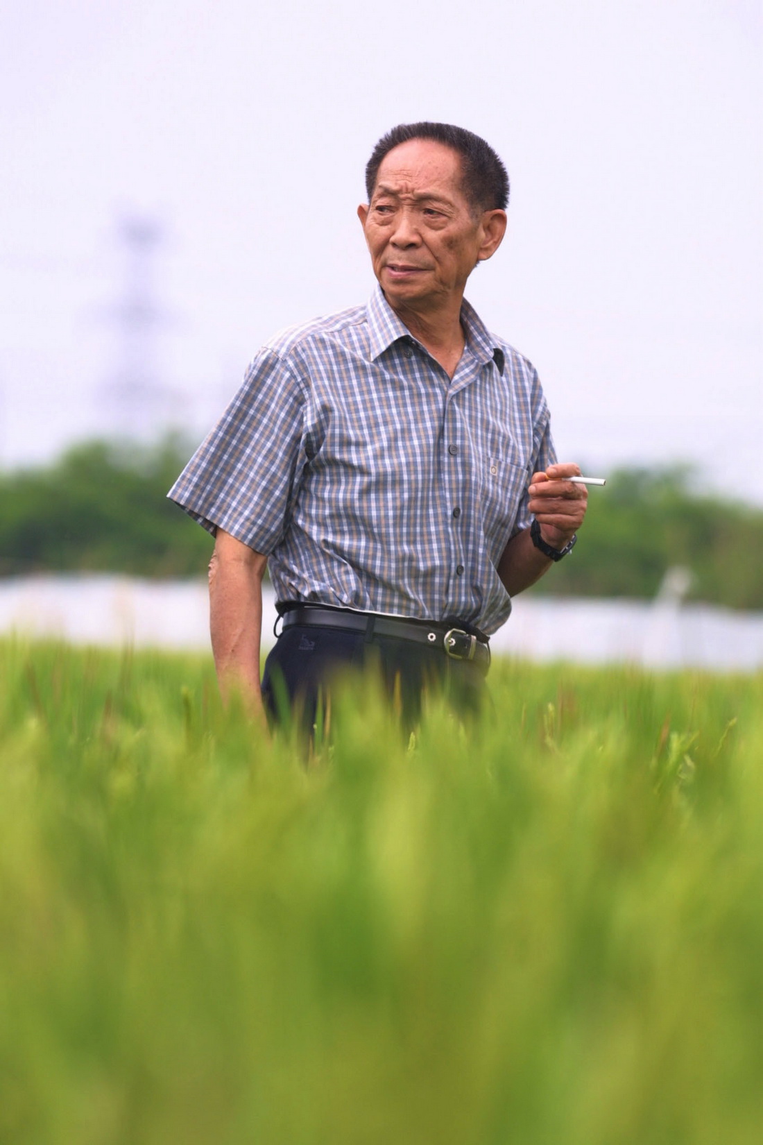 羽毛球飞拍击球算不算违例(袁隆平：稻田的路)