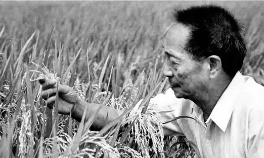 袁隆平:我的两个梦
