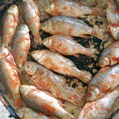 酥魚的做法,酥魚的做法最正宗的做法
