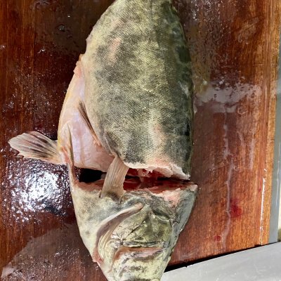 桂魚的家常做法,桂魚的家常做法大全