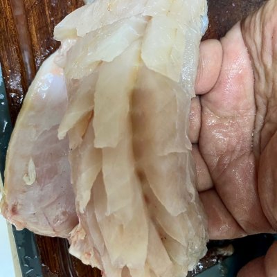 桂魚的家常做法,桂魚的家常做法大全