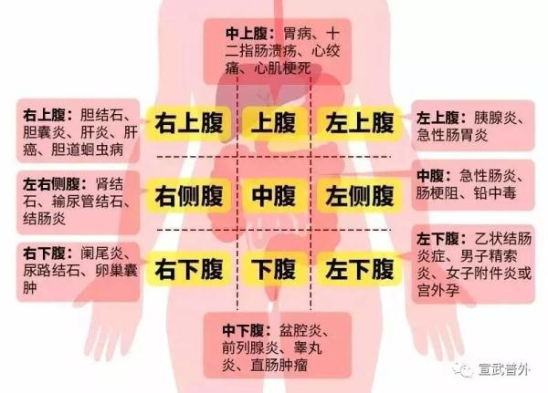 上腹部就是肚脐以上的区域,这里的腹痛常来源于肝,胆,胃,十二指肠和