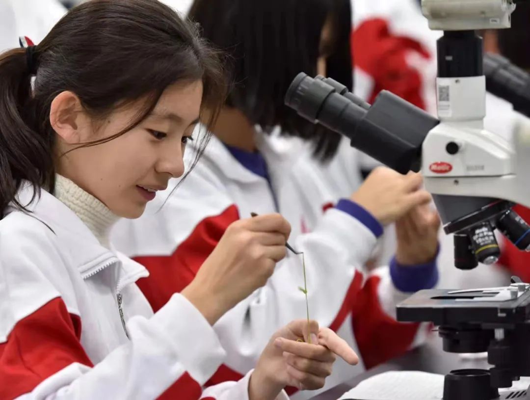 人大附中：一文看懂人大附中优秀学生是如何“炼成”的