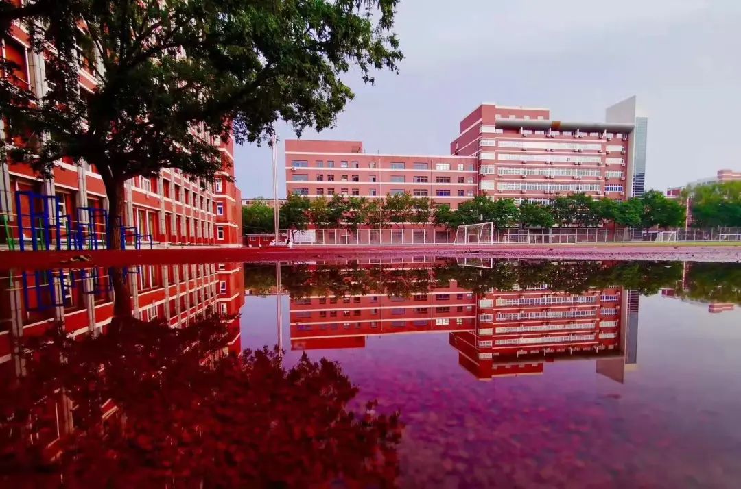 人大附中：一文看懂人大附中优秀学生是如何“炼成”的