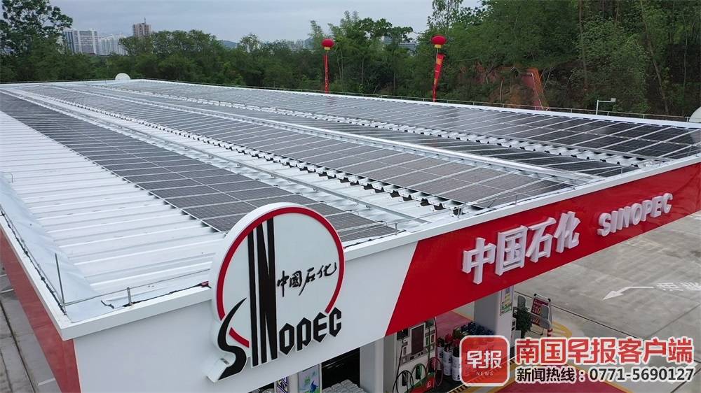 相当于每年种植110棵树!中国石化这四座加油站真正实现“碳中和”