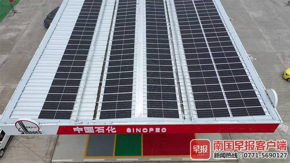 相当于每年种植110棵树！中国石化这四座加油站真正实现“碳中和”