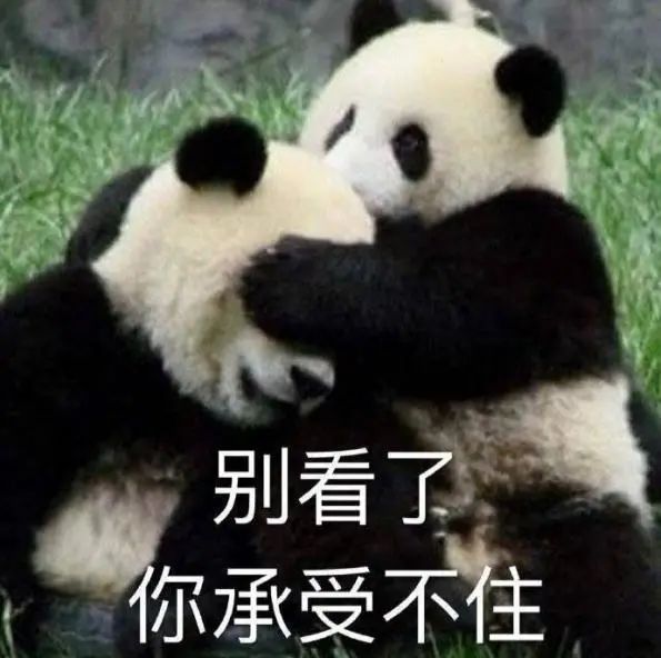 这些人间清醒的童言童语，专治成年人的矫情病